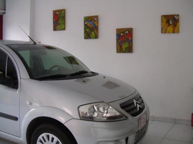 Hostal Casa Suiza Asunción Exteriér fotografie